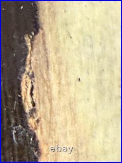 1910 Columbia Motor Car Co Poster Geo. Gibbs Auto Advertising Mounted Vintage