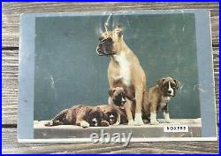Vintage 1953 Columbus Chevrolet Boxers Dog Promo Ad Flyer Mailer