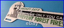 Vintage Smokey Bear License Plate Topper Sign Ad on Automobile Topper